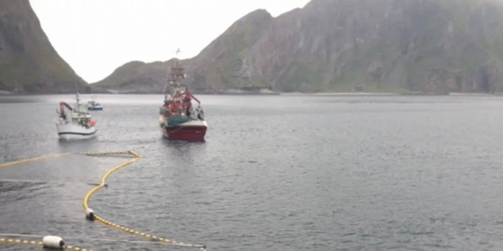 40 tonn makrell låssatt, hentes her i Mostad. Foto: Lorentz Hardy/Lofoten Viking