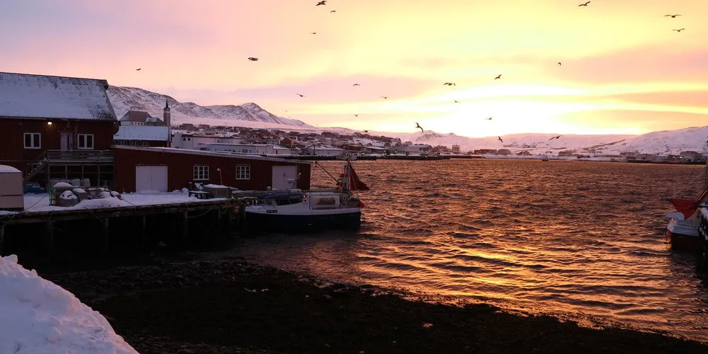 Et nytt anlegg i Mehamn skal etter planen bli pilotprosjektet for Oriental Foodcorps satsing i Finnmark. Foto: Arne Fenstad