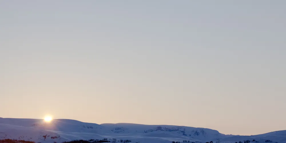 MARKED: Begrenset av systemprisen