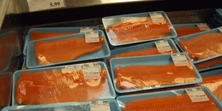 Despite ISA woes, Chile increases 2008 salmon exports