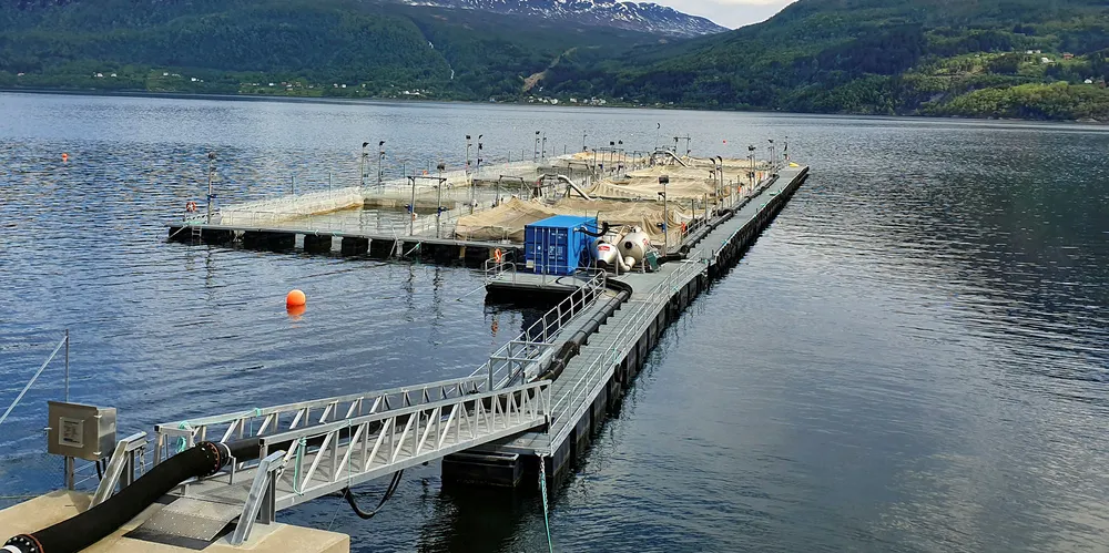 Det er helt stille utenfor Astafjord slakteri. Vanligvis er det full fart på denne tiden av året, men algeoppblomstringen har rammet hardt.