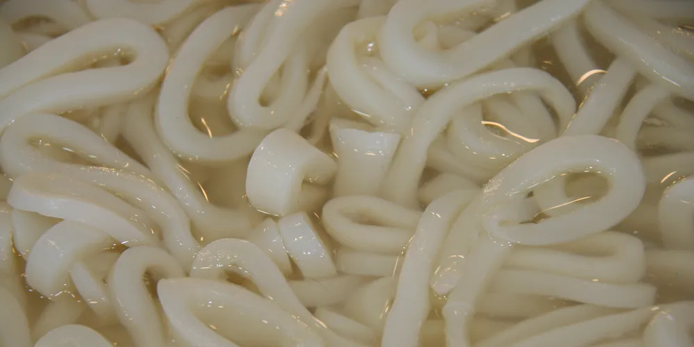 World Congress on Cephalopods: Outlook mixed for global squid market