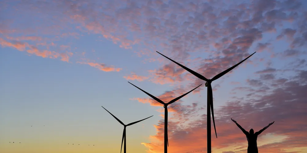 Siemens: Don't count Mexican wind out