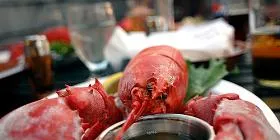 PETA calls for 'lobster empathy center' in Maine