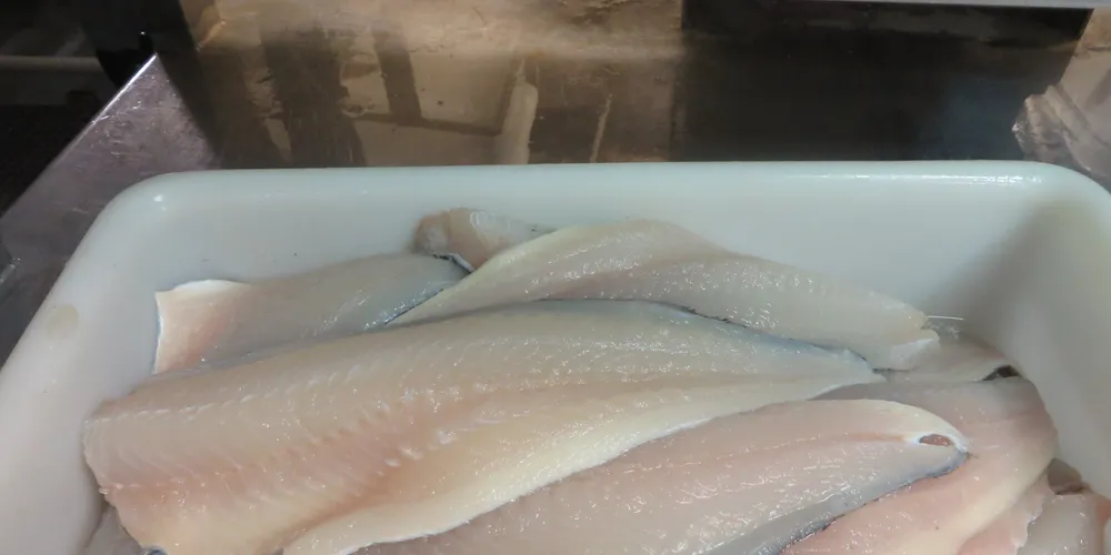 Russian cod, halibut fisheries seek MSC certification