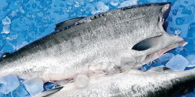Cod H&amp;G prices steady; for how long?