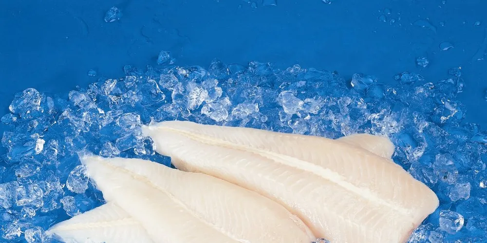 Seawork CEO: Cape hake prices expected to jump