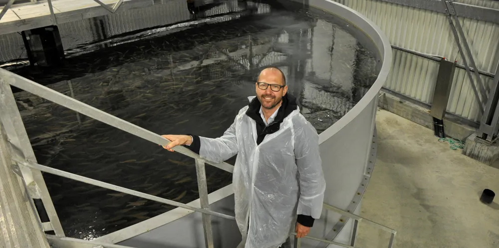 Nicolaj Weiergang er administrerende direktør i Arctic Seafood Group.