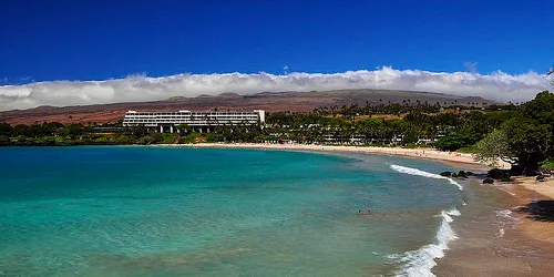 Hawaiian utility turns to biomass as clean power source