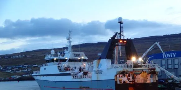 The Polar Nanoq