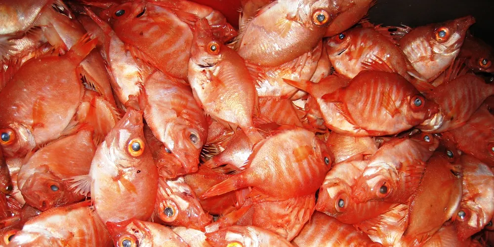 Green group launches appeal against Irish bio-marine ingredients facility