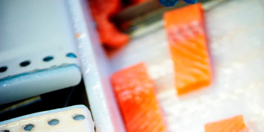 Demand driving value-added salmon boom