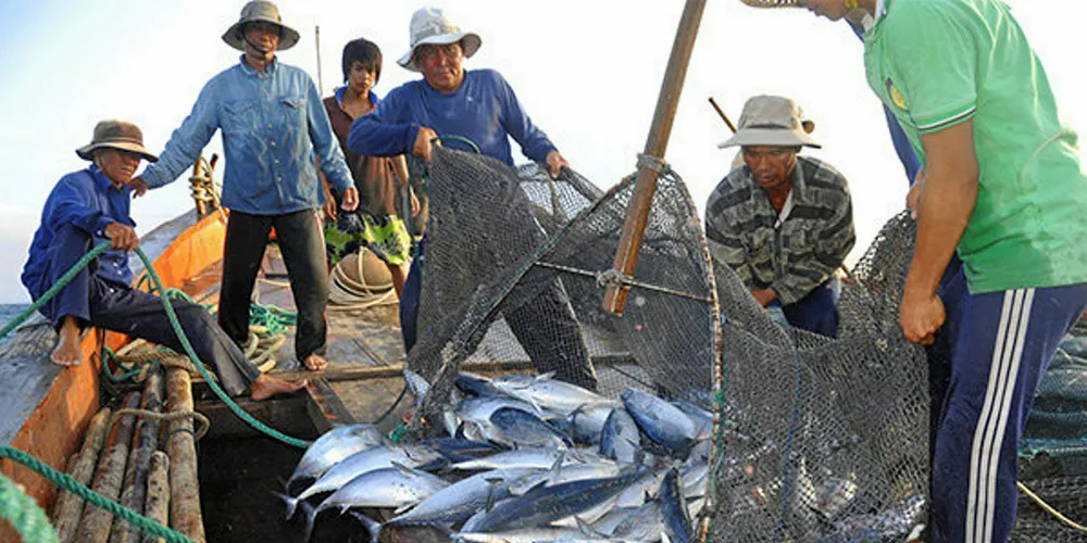 A new study ranks the best trawling methods.