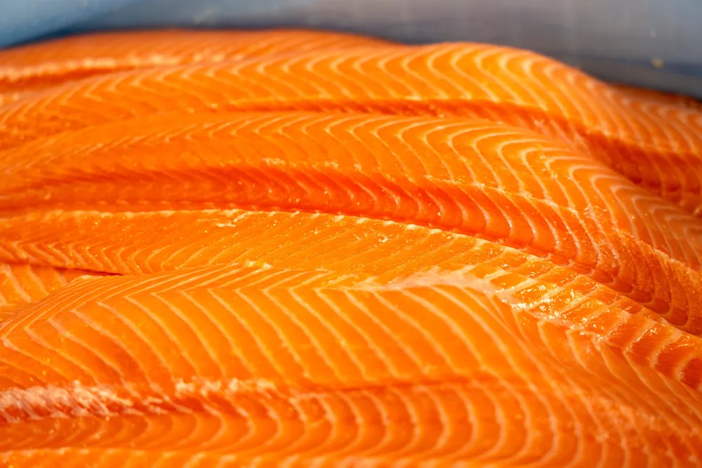 Det oransje gullet fra norske farvann selges verden over. Etter en tung periode i år håper investorene at 2026 blir starten på en ny oppsving for laksenæringen.