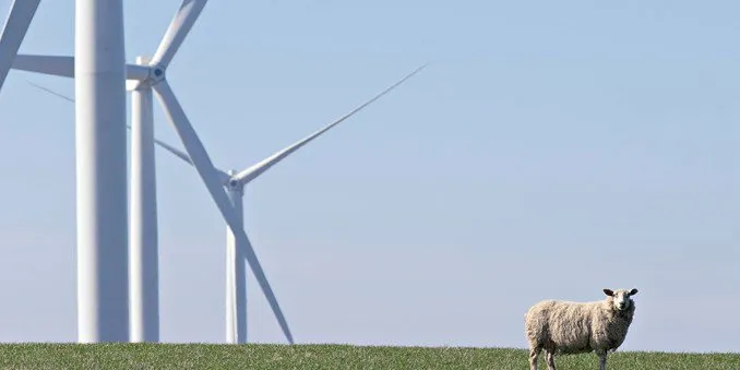 Blir partner på Shetland