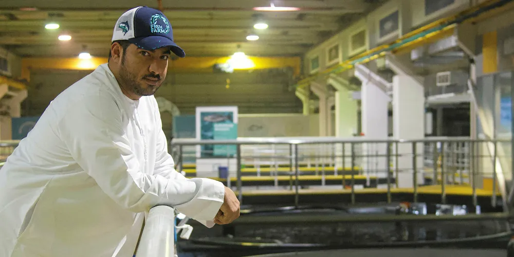 – Det meste har gått smertefritt, konstaterer Bader bin Mubarak, ved tanker fulle av atlanterhavslaks, seabass og et par andre varianter.