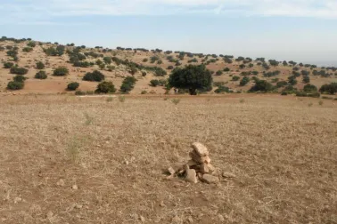 Prospect plans: Longreach Oil & Gas to spud probe on Koba, above, in October