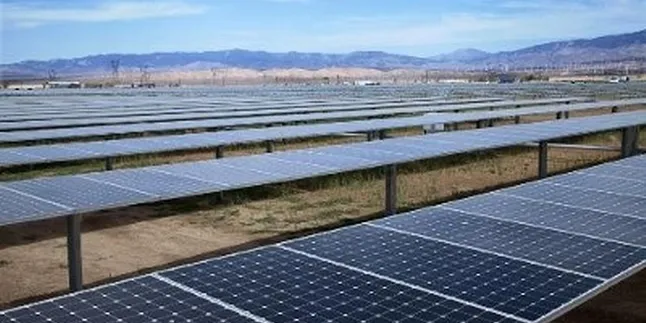 SunPower modules.
