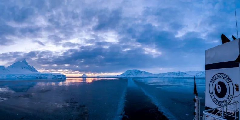 Aker Biomarine starts to see krill pay off