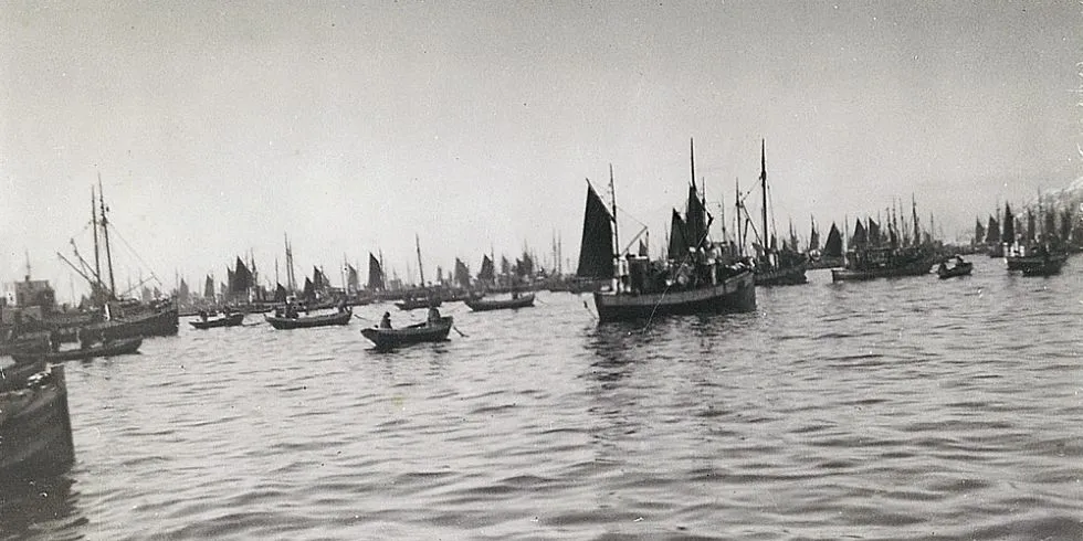 Lofotfiske i gamle dager og den gang havet kokte av fisk. Foto: Helge Solvang