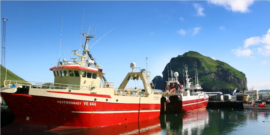 Icelandic catches fall 20% in January