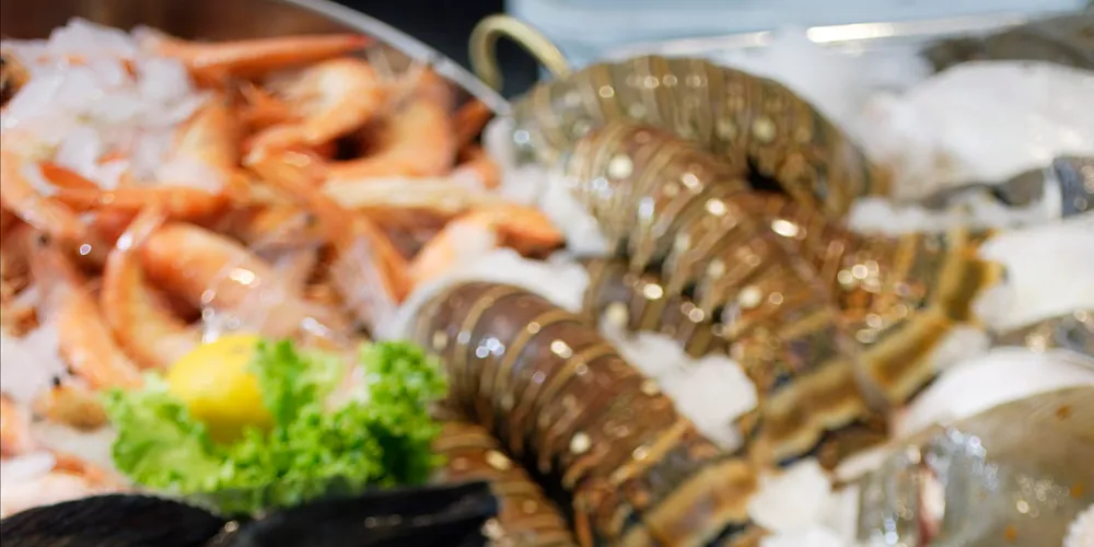 (Photo: Nordsee)