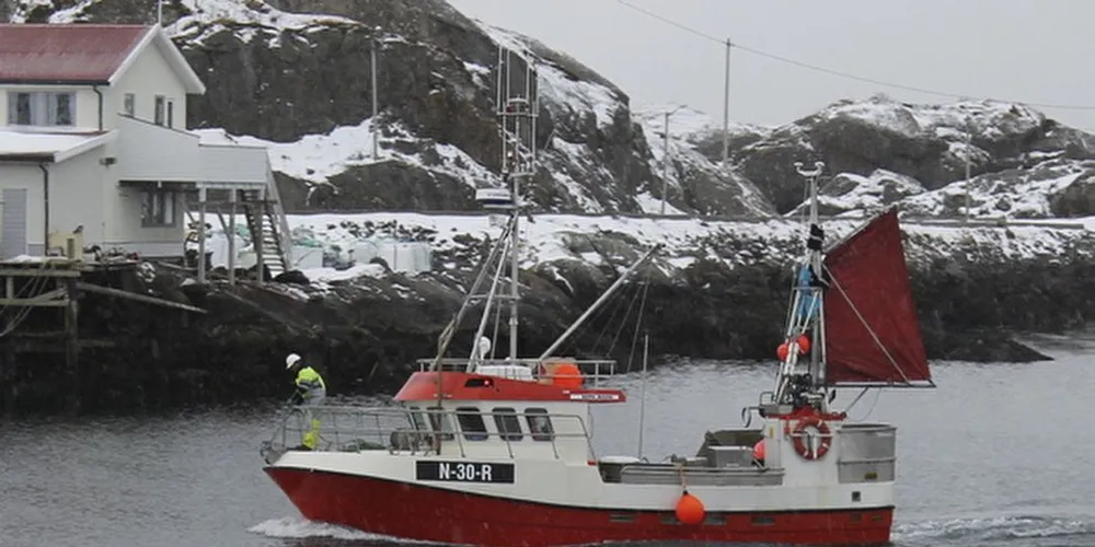 FULLASTET: "Rødøyværing" leverer fangst på Sund i Lofoten. Torsdag kom den godt lastet til kai hos J. M. Langaas Drift A/S. Foto: Willy Hauge