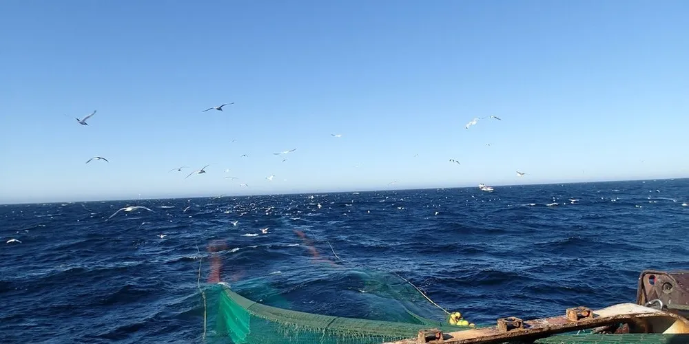 Fiskerinæringen på Sørlandet mente den store kvoteøkningen for reker var på sin plass. Nå er kvoterådet blitt redusert. Foto: Kystvakta