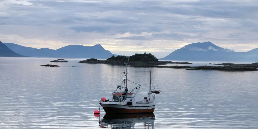 KOMMER: Kystfiske-appen er på vei inn i den minste fiskeflåten. Men Fiskeridirektoratet har foreløpig ikke fått den oppslutningen om ordningen de håper på.