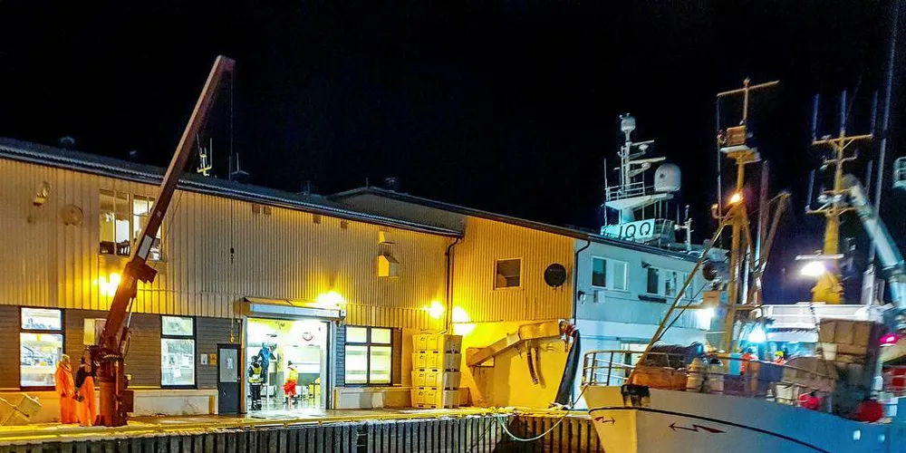 SENTRALISER: Fiskesalgslags-strukturen i Norge består av mange små salgslag. Bør Norges Råfisklag få eneansvar for hvitfisksektoren?Foto: Eskild Johansen