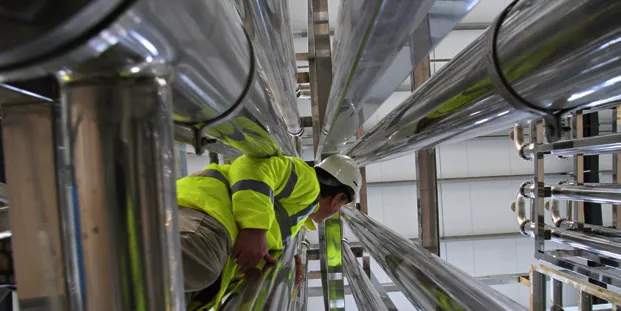 Our microbes are the future for biofuels, says UK start-up