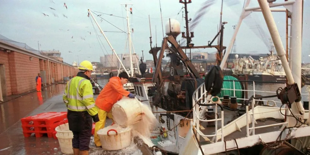 Tre selskaper eier 61 prosent av fiskekvotene i Storbritannia. Her fra Peterhead i Skottland, der det ennå er sjølstendige fiskebåtrederier.Arkivfoto: Magnus Thor Hafsteinsson