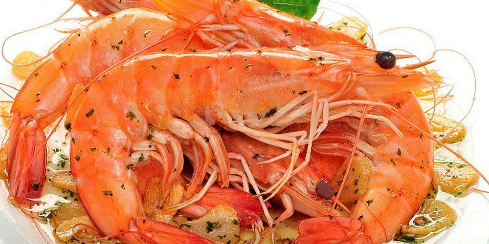 Ecuador's shrimp production poised to grow again.