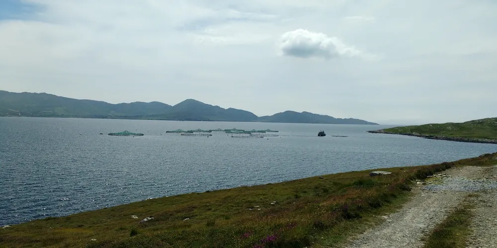 Marine Harvest kicks off new farm in Ireland