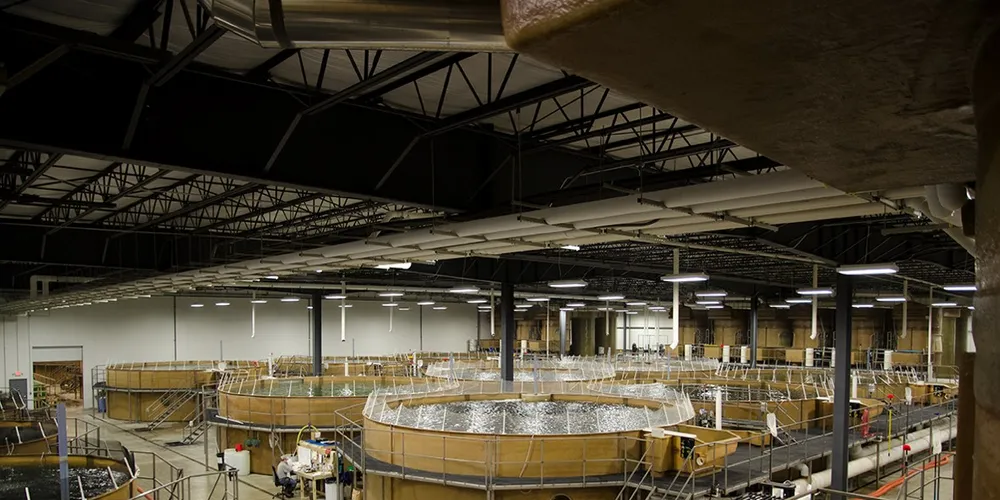 Bell's land-based RAS facility is located in Indiana, United States.