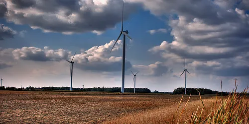 Ontario agriculture group calls for wind turbine moratorium
