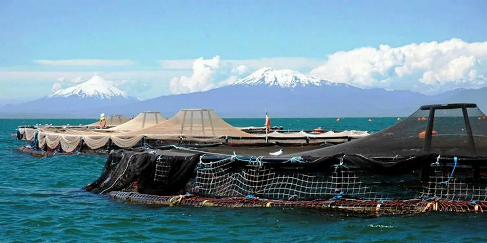 Marine Harvest Chile