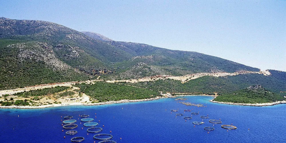 Sea bass and sea bream farms belonging to Greek producer Andromeda.