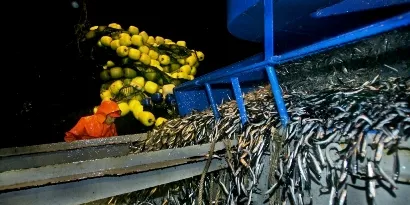 Copeinca approves share increase for acquisitions