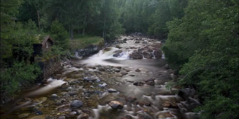 Rød bølge for Grønnkraft