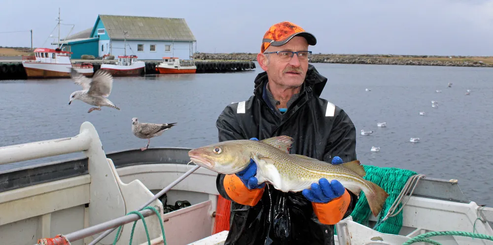 Det er ikke det sprekeste torskefisket på Lista, forteller Henning Tønnessen på «Bluebird», som har tatt 270 kilo torsk på beste tur hittil.
