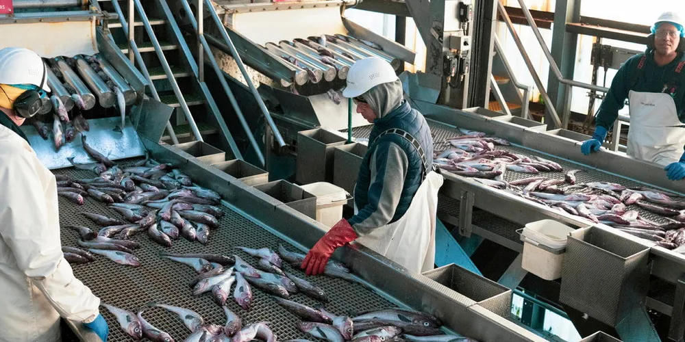 Some Alaska pollock producers say they have been unfairly competing with Russian pollock for the past several years.