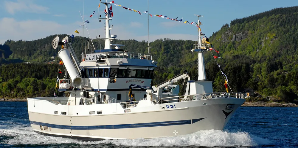 «Bluefin» er første båt med sildefangst på Møre i formiddag.