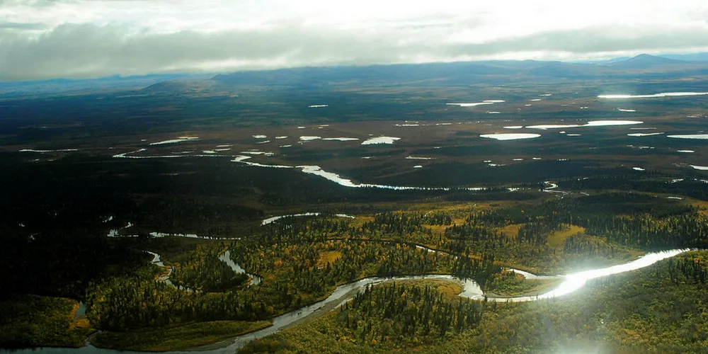 Bristol Bay salmon season is looking up.