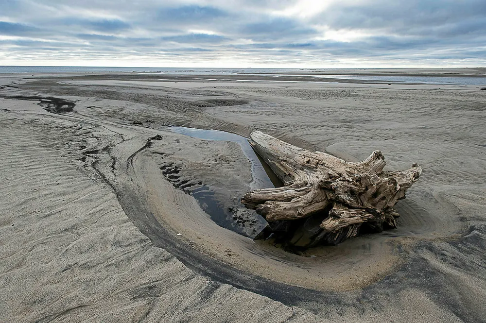 First steps: an Arctic shore on Russia's Gydan Peninsula