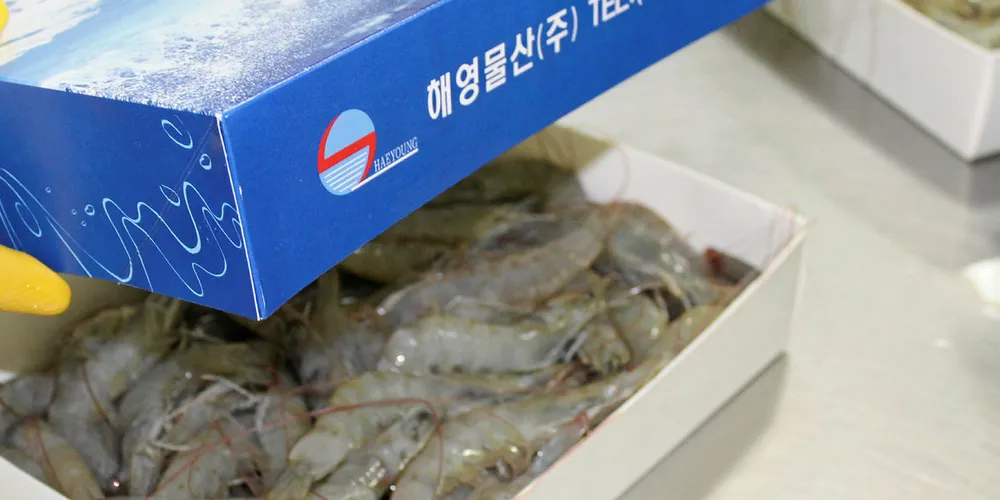 Ecuador shrimp imports into China have been a point of contention between the two countries in regards to COVID-19 spread.