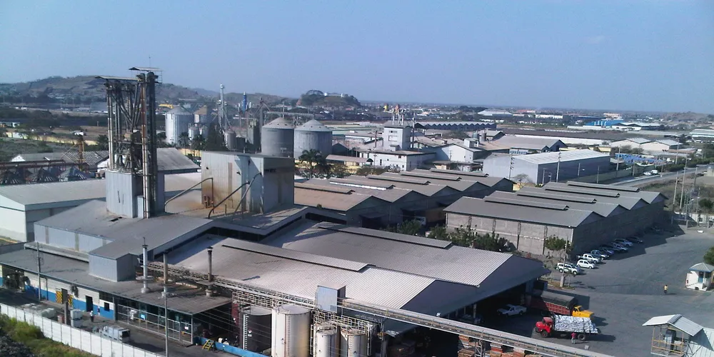 Nutreco-owned Ecuadorian feed producer banks on adding value through nutrition