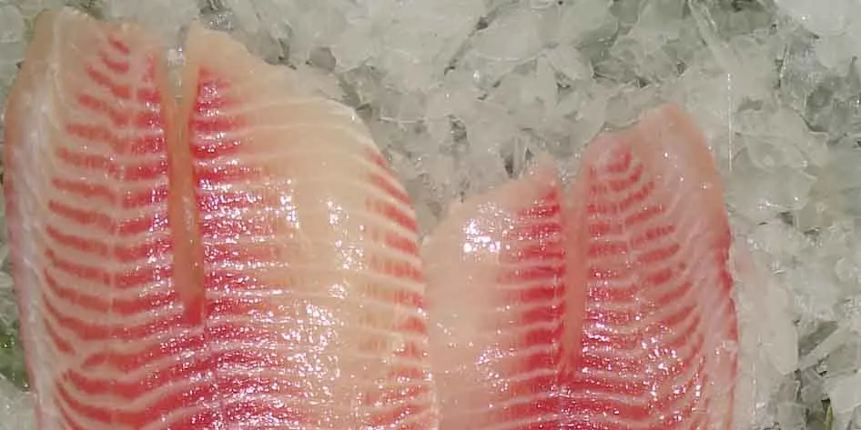 China tilapia disease drives up prices