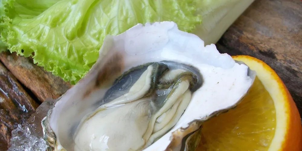 US oyster processor to refund $30,000 to migrant workers