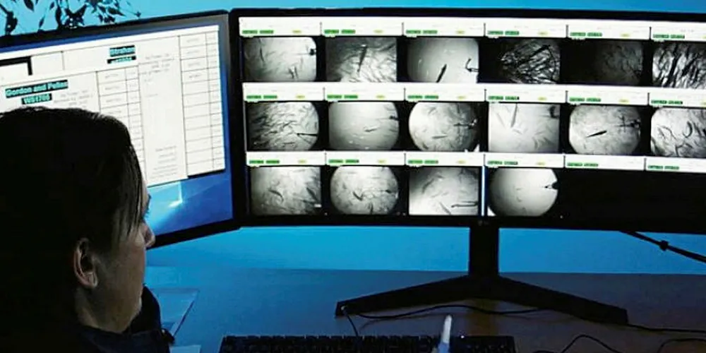 Staff monitor fish in a Huon control room.